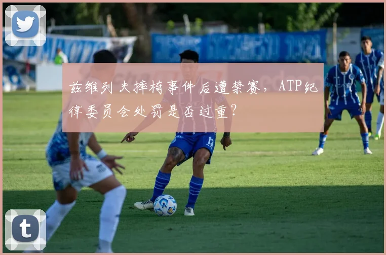 兹维列夫摔椅事件后遭禁赛,ATP纪律委员会处罚是否过重?
